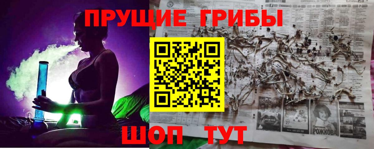 Галлюциногенные грибы GOLDEN TEACHER  Вход с VPN  Карталы  Галлюциногенные грибы прущие грибы 